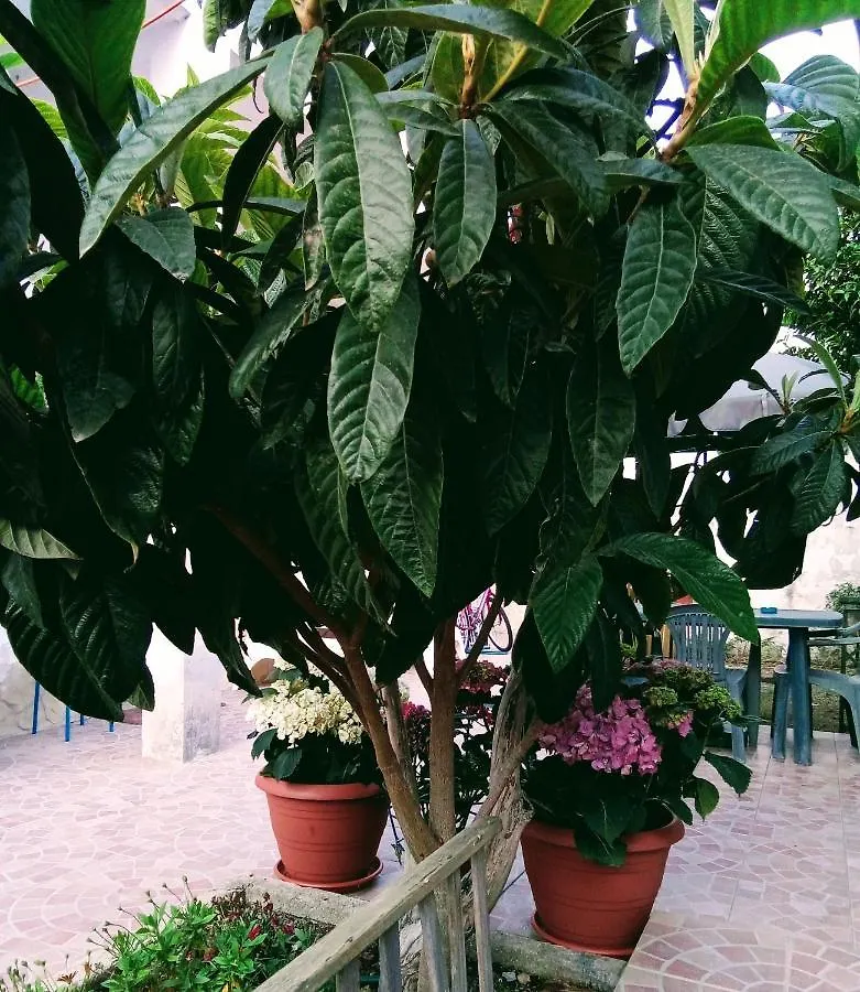 B&B Fenice Barocca Lecce Couette-café